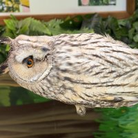 Птицы зоопарка :: Pippa 