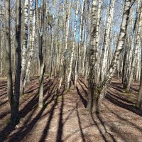 Приметы апреля :: Андрей Лукьянов