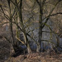 "Фрагмент холодной весны"© :: Владимир Макаров