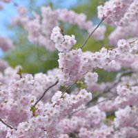 лейпциг2026 :: Алексей Короткевич