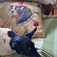 Тётя Ёла приехала... )) :: Владимир Хиль