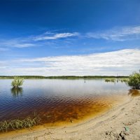 Пейзаж :: Александр 