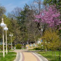 В городском парке :: Игорь Сикорский