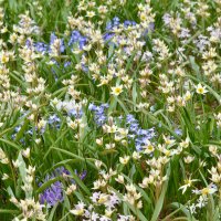 Москва. Весна в парке "Зарядье". :: Наташа *****