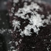 Падал прошлогодний снег... :: Ольга 