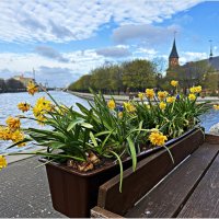 Весеннее. :: Валерия Комова