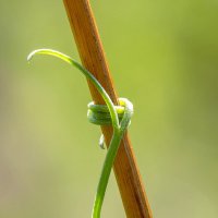 Вверх... :: Андрей Пристяжнюк