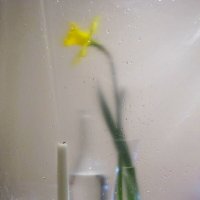 Весна плачет... :: Татьяна Гнездилова