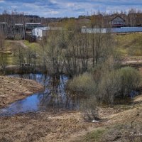 "Нежная весна в прохладный день"© :: Владимир Макаров