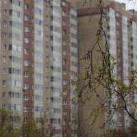 капельки дождя :: Anna-Sabina Anna-Sabina