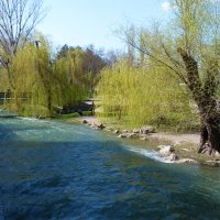 Пейзажи  Гагаринского  парка :: Валентин Семчишин