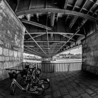 Велосипеды :: Eugene *