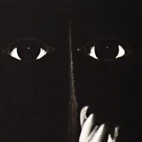 ФОТОГРАФИКА Взгляд :: Алексей Кузнецов