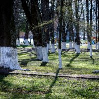 Танец.. :: Вячеслав Владимирович