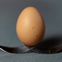 Яйцо на вилках :: Александр Синдерёв