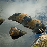 Присесть не хотите? :: Михаил К