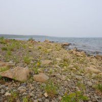 озеро Мелкое :: Александр Хаецкий