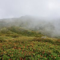 ** :: Александр Хаецкий