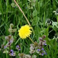 *** :: Павленко Михаил 