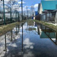 Поплыли на дачу) :: Татьяна 