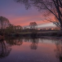 **** :: Елизавета .