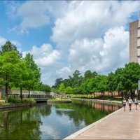 Из детства пролетали облака :: **** vedin