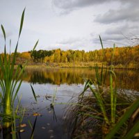 У пруда... :: Александр 