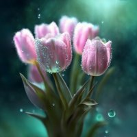 Про весну ... :: Ravile 