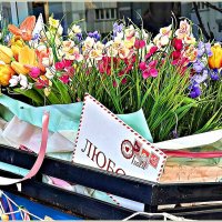 Цветы на острове. :: Валерия Комова