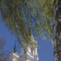 *** :: Николай 