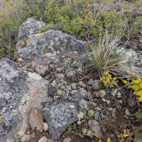 Весна :: Андрей Хлопонин