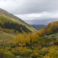 Краски осени ... :: Андрей Любимов