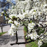 ,,, :: Сергей Тимоновский