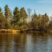 Весна, Весна, Весна 3 :: Андрей Дворников