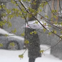 Романтика :: олег свирский 