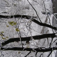 Метель в конце апреля :: Анна Воробьева