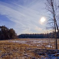 Первый снег :: Александр 