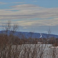 весна :: Венера Чуйкова