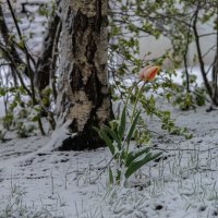 Вдвоем. :: Николай 