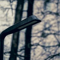 Весна в Белгороде. Одинокий фонарь. :: Михаил 