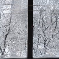 В конце апреля зима вернулась :: Дмитрий Никитин