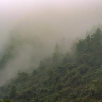 Горы Тяньаньмэнь в тумане (3) :: Георгий А