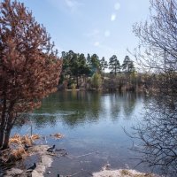 ,,, :: Сергей Яковлев