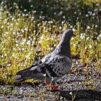 И, что там?.. :: Игорь Протасов