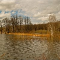 Весенний этюд :: Валентин Котляров