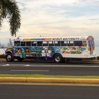 Red Devil :: Анастасия Фотографовна