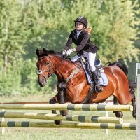 Конкур :: SanSan 