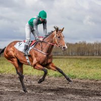 Скачки :: SanSan 