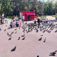 Almaty. :: Murat Bukaev 