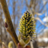 Макро :: Анастасия Логинова